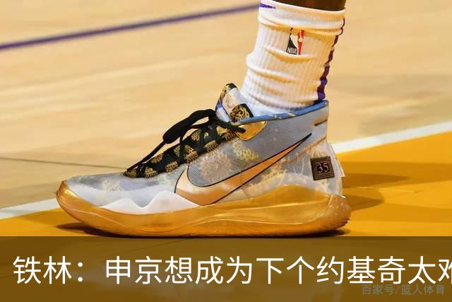 铁林：申京想成为下个约基奇太难了 火箭频繁变动影响了他的性格